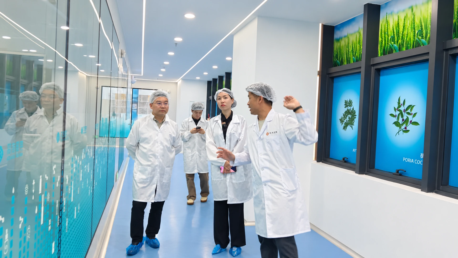 客户与工厂人员穿防护服参观生产区域